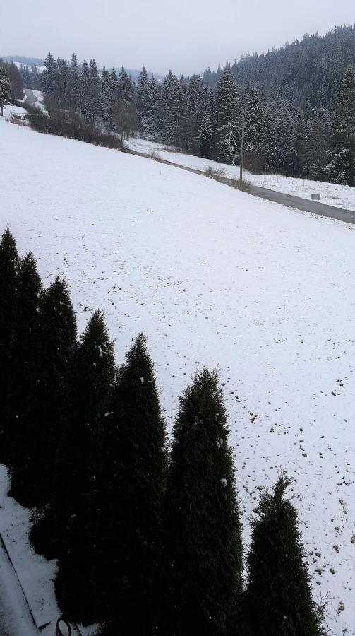 Villa Jagodovo Biały Dunajec Eksteriør billede